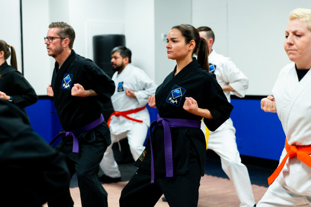 Martial Arts in Kansas City Aplomb Martial Arts